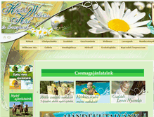 Tablet Screenshot of hetkut.hu